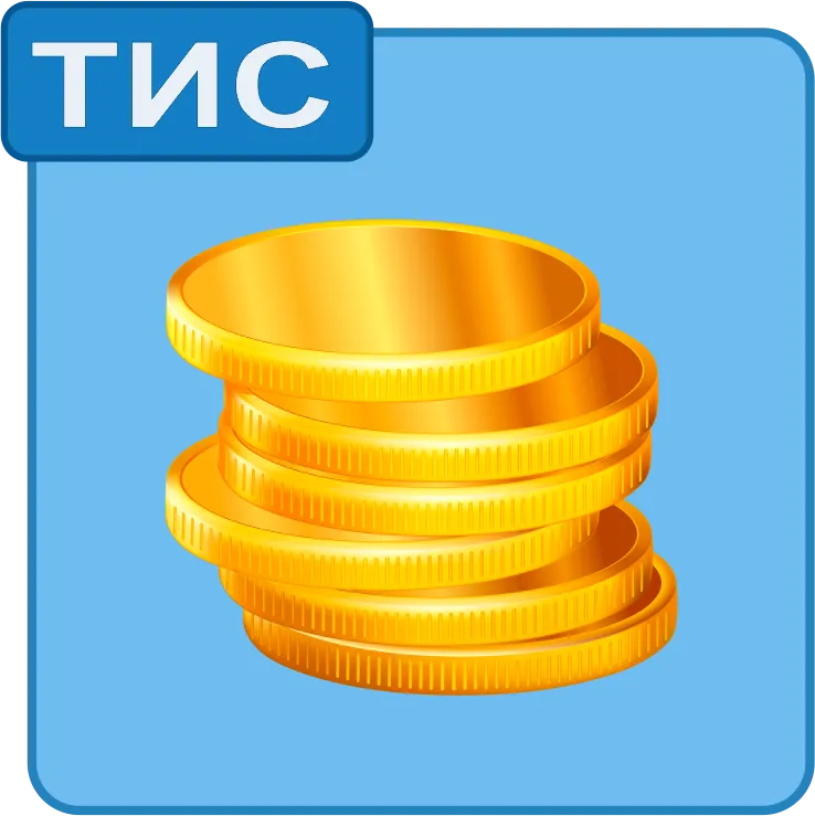 ТИС ввод в эксплуатацию (дополнительная касса)